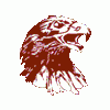 =WS=Falcon_