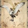 =W4F=Albatros