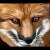 RedFox